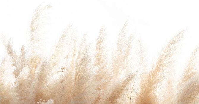 Naturopathy and your Health