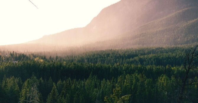 Naturopathy and your Health